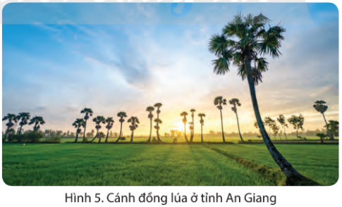 - Kể tên các tỉnh trồng lúa chính ở vùng Nam Bộ - Nêu vai trò của hoạt động sản xuất lúa ở vùng Nam Bộ