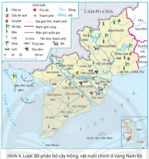 - Kể tên một số tỉnh nuôi trồng thủy sản ở vùng Nam Bộ - Cho biết vai trò của hoạt động nuôi trồng thủy sản ở vùng Nam Bộ
