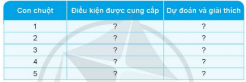 ự đoán điều gì sẽ xảy ra với mỗi con chuột trong những hình trên và giải thích theo gợi ý sau.