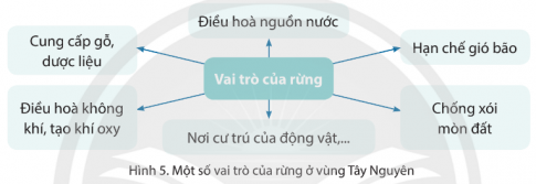 - Kể tên một số vườn quốc gia, các kiểu rừng chủ yếu ở vùng Tây Nguyên. - Nêu vai trò của rừng và một số biện pháp bảo vệ rừng ở vùng Tây Nguyên.