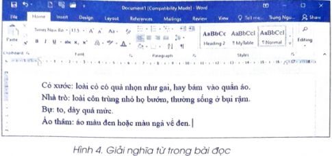 Em hãy thực hiện các công việc sau