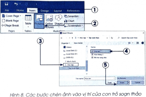 Các số trong Hình 8 thể hiện thứ tự các bước chèn ảnh vào văn bản. Em hãy ghép các thao tác sau đây cho từng bước này. Kết quả được đưa ra dưới dạng cặp ghép (số thứ tự bước, nhãn của thao tác).