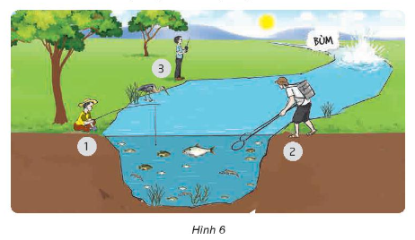 Trong ba hoạt động (1, 2 và 3) của con người, hoạt động nào ít gây tác động đến sinh vật? Hoạt động đánh bắt nào gây tác động xấu, ảnh hưởng lâu dài?