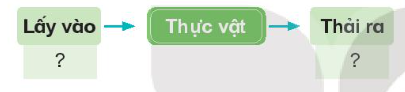 Vẽ và chia sẻ với bạn sơ đồ thể hiện sự trao đổi nước và chất khoáng của thực vật với môi trường theo gợi ý sau
