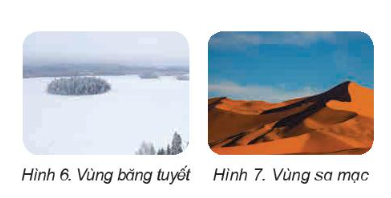  Đưa các cây thường trồng ở vùng nhiệt độ cao sang trồng ở vùng băng tuyết có nhiệt độ quá thấp...