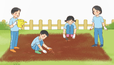 Giải Hoạt động thực tế trang 53 sách giáo khoa (SGK) toán lớp 4 tập 2 Chân trời