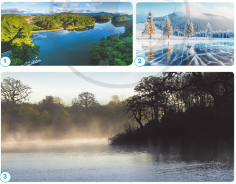 Thể lỏng, thể khí hay thể rắn?