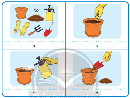 Em hãy đọc các thông tin trong bảng, quan sát các hình dưới đây và chọn hình minh họa phù hợp với mô tả