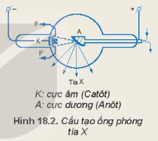 Để chẩn đoán hình ảnh trong y học người ta thường sử dụng tia X 