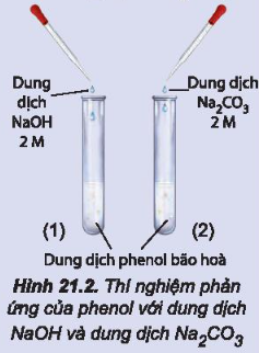 Thí nghiệm phenol tác dụng với dung dịch NaOH và với dung dịch Na2CO3...Cả hai ống nghiệm đều quan sát được dung dịch từ màu trắng đục chuyển sang trong suốt. Hãy giải thích các hiện tượng xảy ra.