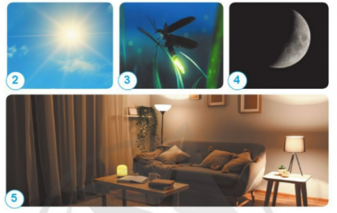 Hãy cho biết vật sáng và vật được chiếu sáng trong hình dưới đây.