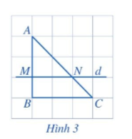 Giải hoạt động 2 trang 53 sách giáo khoa (SGK) toán lớp 8 tập 2 CD