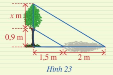 Giải luyện tập 2 trang 60 sách giáo khoa (SGK) toán lớp 8 tập 2 CD