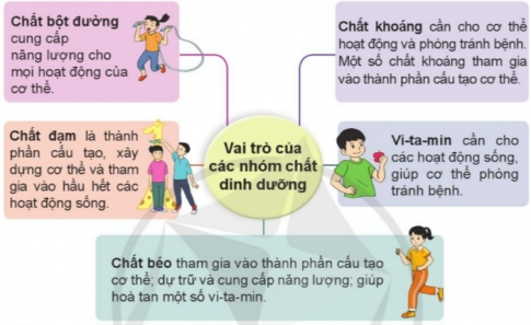 Nêu vai trò của các nhóm chất dinh dưỡng đối với cơ thể.