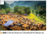 Đọc thông tin và quan sát các hình 6,7, em hãy mô tả cánh chợ phiên ở vùng Trung du và miền núi Bắc Bộ