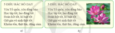 Giữa văn bản không có ảnh như ở Hình 1a và văn bản có ảnh như ở Hình 1b, em thích văn bản nào hơn