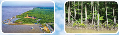 Hỏi - đáp về cảnh vật trong các bức ảnh dưới đây