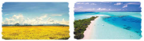 Thi tìm từ ngữ tả không gian dựa vào hai bức ảnh dưới đây