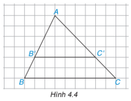 Giải Luyện tập 2 trang 78 sách giáo khoa (SGK) toán lớp 8 tập 1 Kết nối