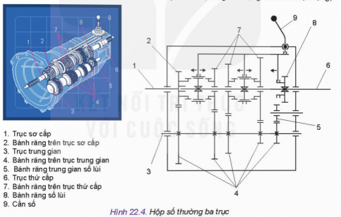  khi bánh răng (7) ở bên trái và khi bánh răng (7) ở giữa được nối với trục thứ cấp.