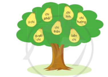 Xếp các từ ngữ chứa tiếng chí dưới đây vào nhóm thích hợp