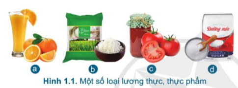 Giới thiệu chung về trồng trọt