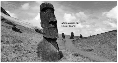 Giải sách bài tập (SBT) tiếng anh lớp 10 Explore new worlds unit 6 Destinations Lesson D