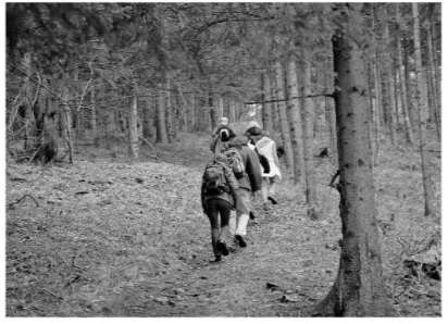 Giải sách bài tập (SBT) tiếng anh lớp 10 Explore new worlds unit 12 Decisions Lesson D