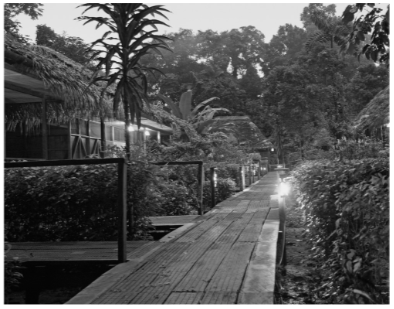 Giải sách bài tập (SBT) tiếng anh lớp 10 Explore new worlds unit 12 Decisions Lesson D