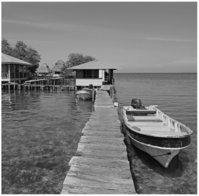 Giải sách bài tập (SBT) tiếng anh lớp 10 Explore new worlds unit 12 Decisions Lesson D