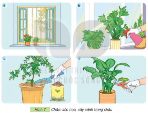 Quan sát Hình 7 và nêu tên những công việc chăm sóc hoa, cây cảnh phù hợp với từng ảnh