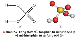 Quan sát hình 7.2 mô tả cấu tạo phân tử của H2SO4