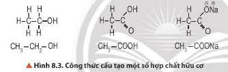 Xác định loại liên kết liên kết cộng hóa trị, liên kết ion trong phân tử các hợp chất hữu cơ ở hình 8.3 