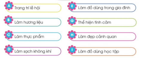 Cùng bạn tìm đúng lợi ích của hoa, cây cảnh dựa vào các thông tin gợi ý dưới đây