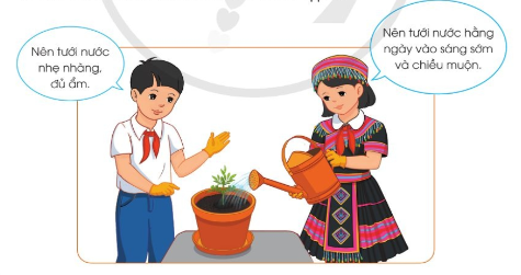 Dựa vào hình và thông tin dưới đây, em hãy cho biết