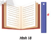 Vận dụng 2 trang 111 toán lớp 11 tập 1 Chân trời