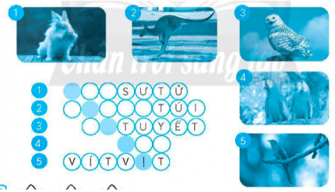 Giải vở bài tập (VBT) tiếng việt lớp 4 chân trời bài 6 đọc Thành phố nối hai châu lục