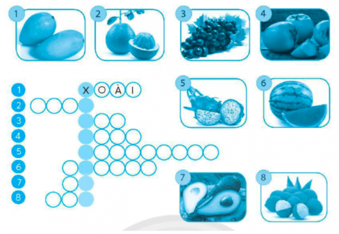 Giải vở bài tập (VBT) tiếng việt lớp 4 chân trời bài 5 đọc Hoa cúc áo
