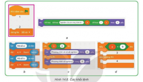 Giải tin học lớp 8 Kết nối bài 14 Cấu trúc điều khiển