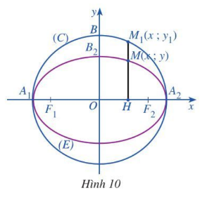 Giải hoạt động 8 trang 46 Chuyên đề toán lớp 10 cánh diều
