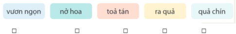 Đánh số thứ tự vào ô trống thể hiện cách sắp xếp chi tiết theo trình tự phát triển của cây cà chua.