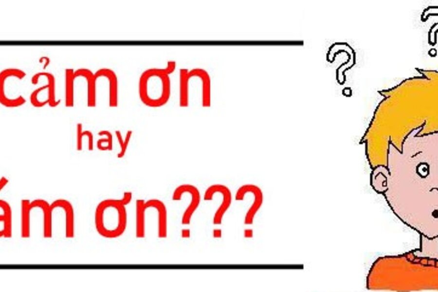 Cám ơn hay cảm ơn - Từ nào được viết sai về chính tả trong 2 từ?