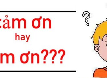 Cám ơn hay cảm ơn - Từ nào được viết sai về chính tả trong 2 từ?